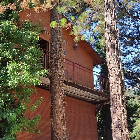 Hotel Toni Llogora Dukat Zewnętrze zdjęcie