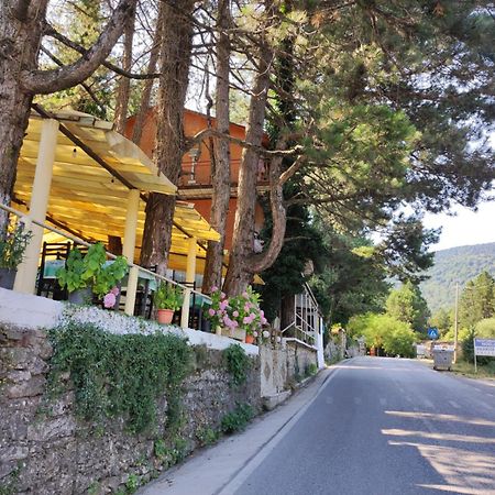 Hotel Toni Llogora Dukat Zewnętrze zdjęcie