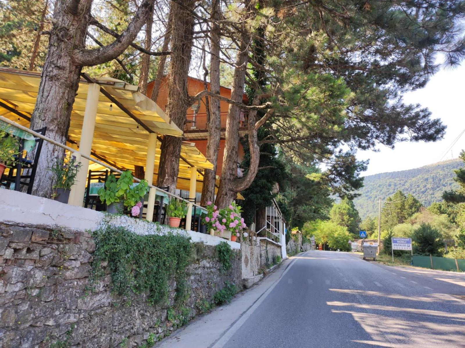 Hotel Toni Llogora Dukat Zewnętrze zdjęcie