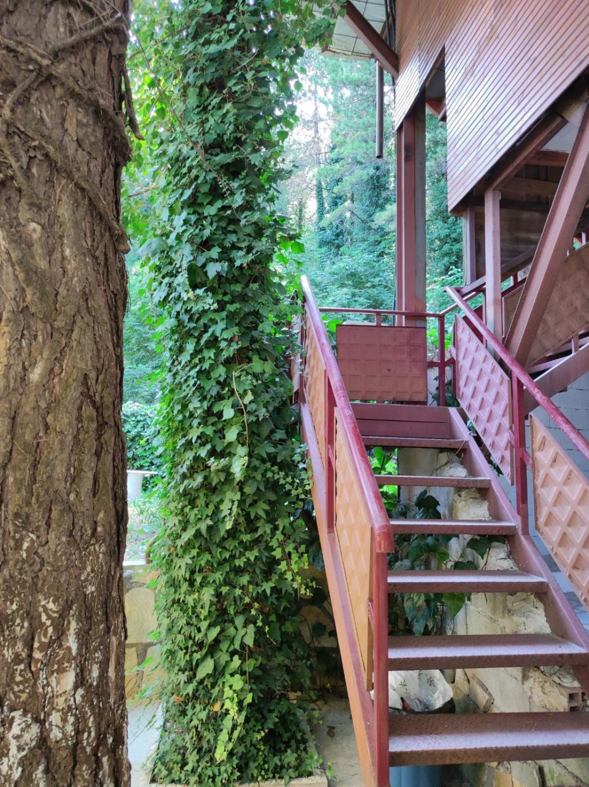 Hotel Toni Llogora Dukat Zewnętrze zdjęcie